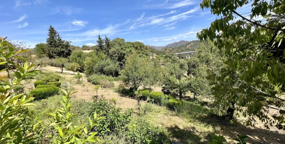 Sale of detached villa in Estepona 20