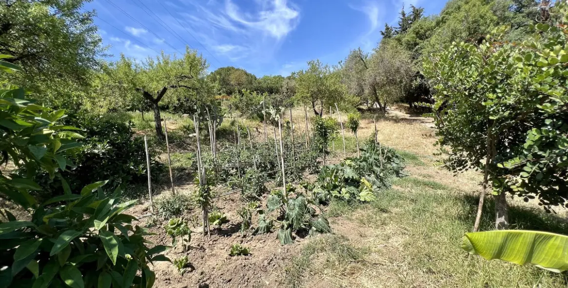 Продажа  отдельно стоящей виллы в Estepona 21