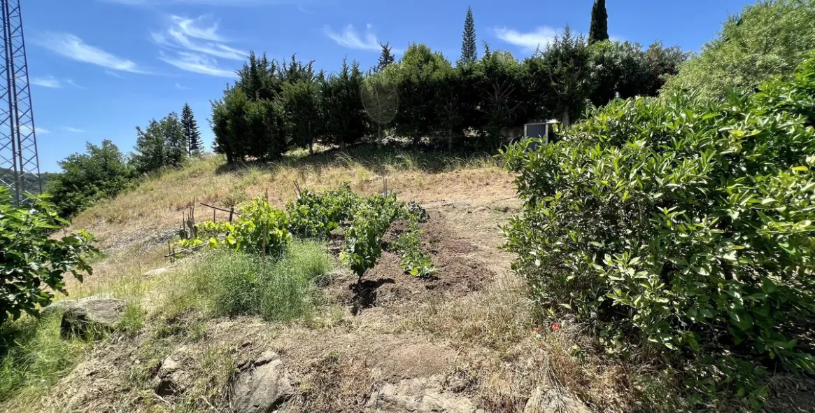 Продажа  отдельно стоящей виллы в Estepona 22