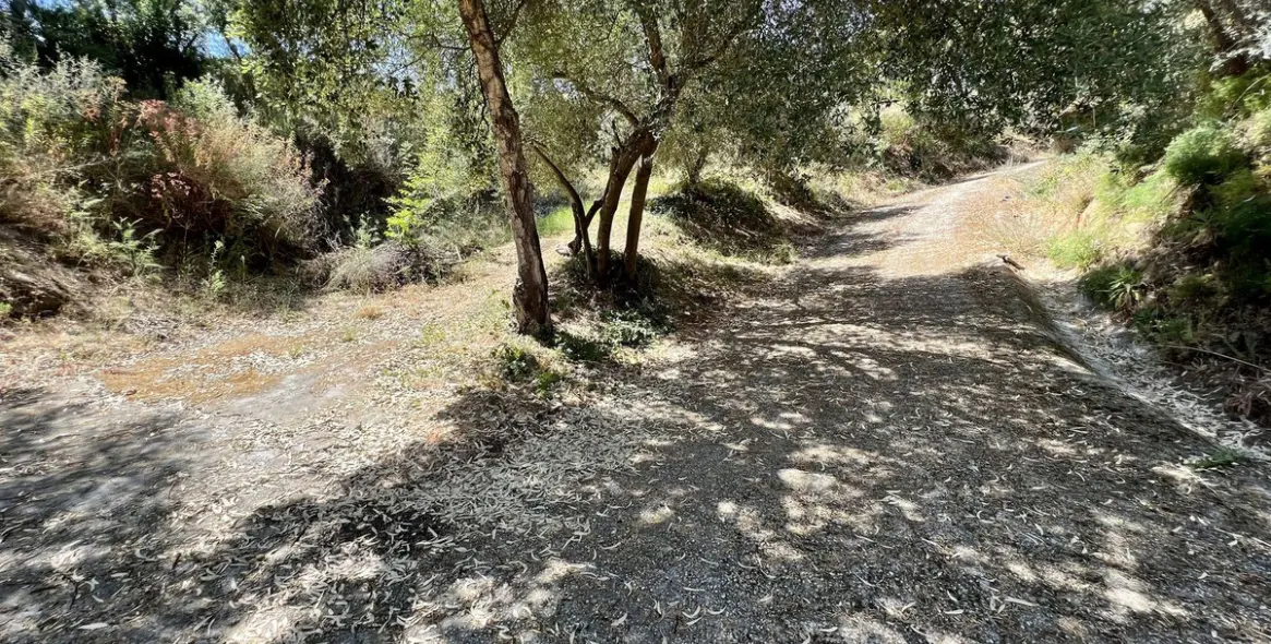 Продажа  отдельно стоящей виллы в Estepona 26