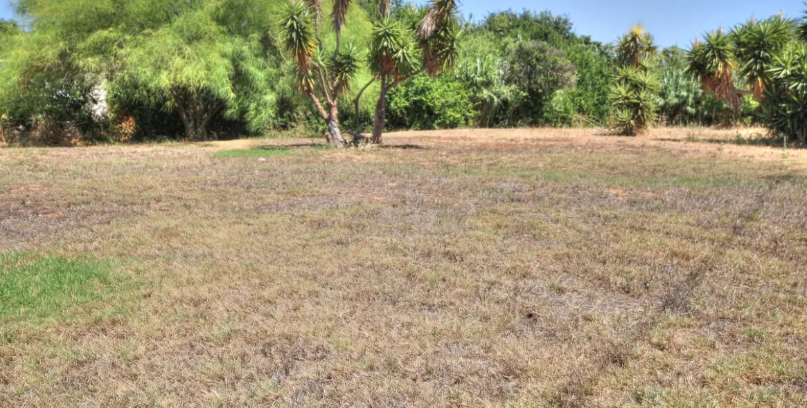 Продажа финки в Mijas Costa 16