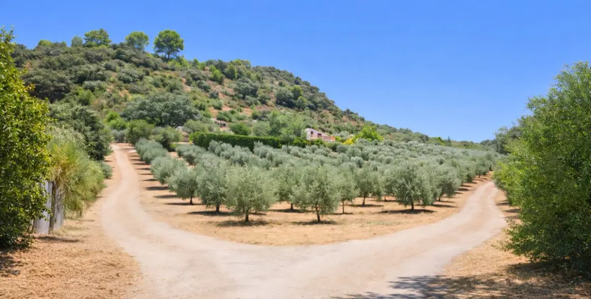 Sale of detached villa in Ronda 23