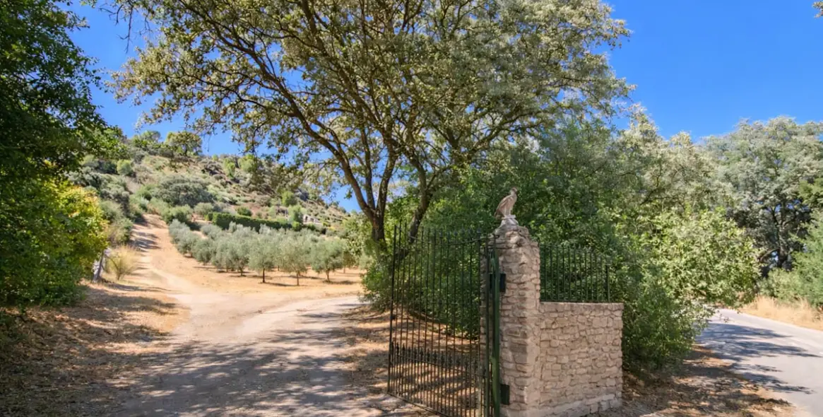 Sale of detached villa in Ronda 24