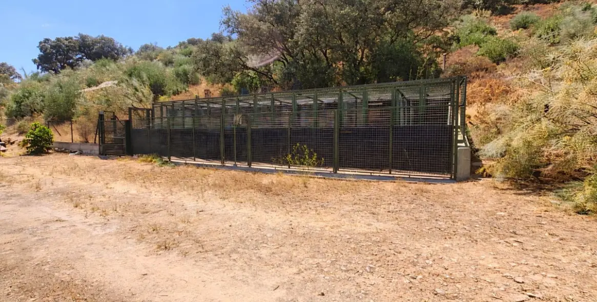 Sale of detached villa in Ronda 27