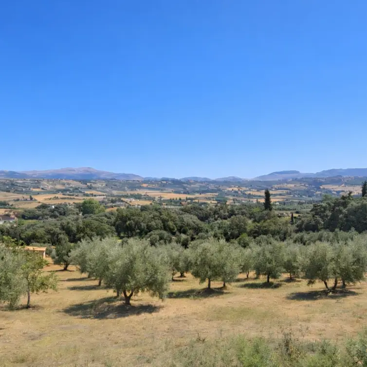 Sale of detached villa in Ronda