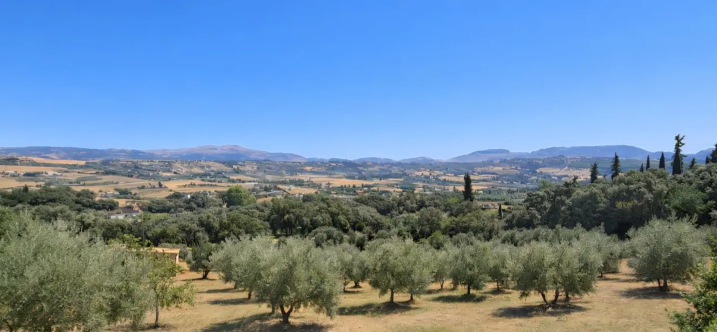 Sale of detached villa in Ronda 4