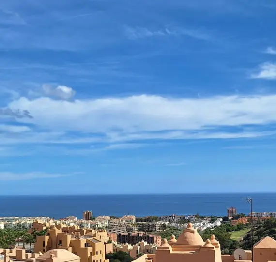 Продажа пентхауса в La Duquesa