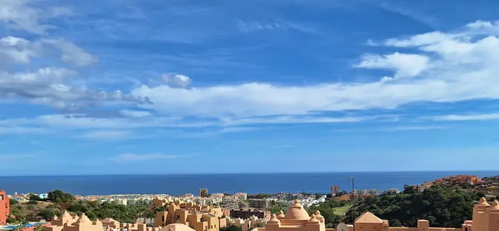 Продажа пентхауса в La Duquesa 0