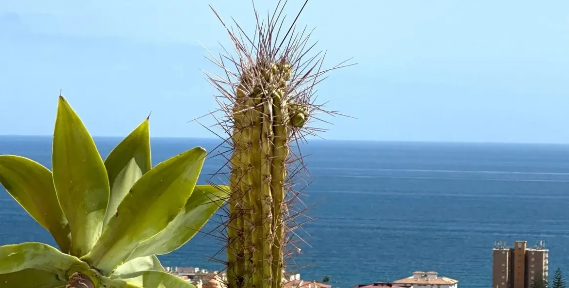 Продажа пентхауса в La Duquesa 12