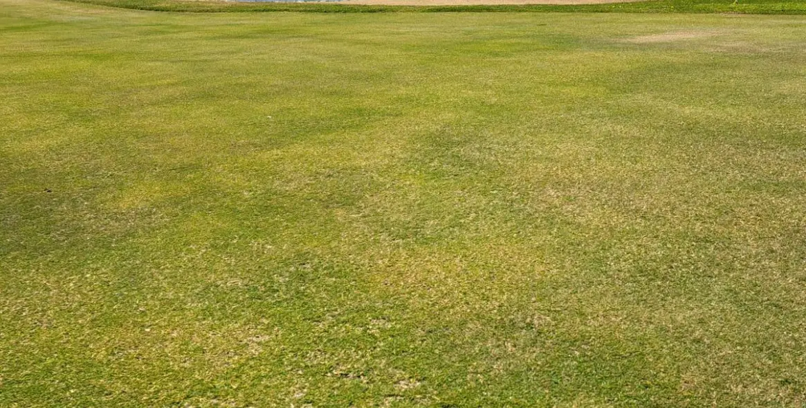 Продажа пентхауса в La Duquesa 35