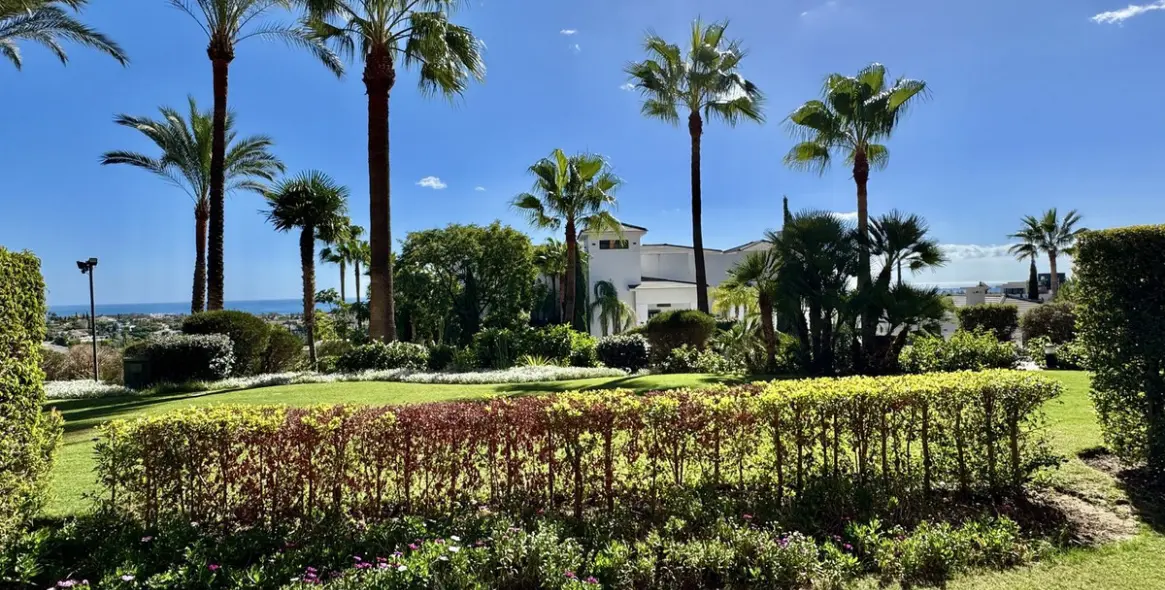 Sale of ground floor apartment in Los Flamingos 3