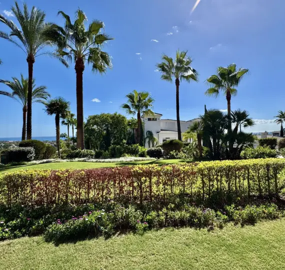 Sale of ground floor apartment in Los Flamingos