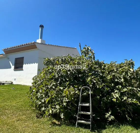 Venta de finca - cortijo en Estepona