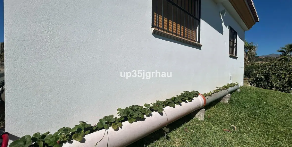 Продажа финки в Estepona 2