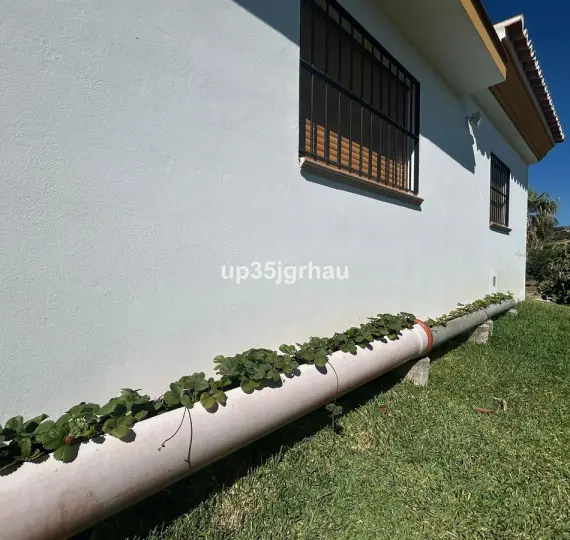 Venta de finca - cortijo en Estepona