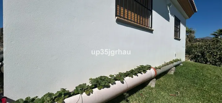 Venta de finca - cortijo en Estepona 1