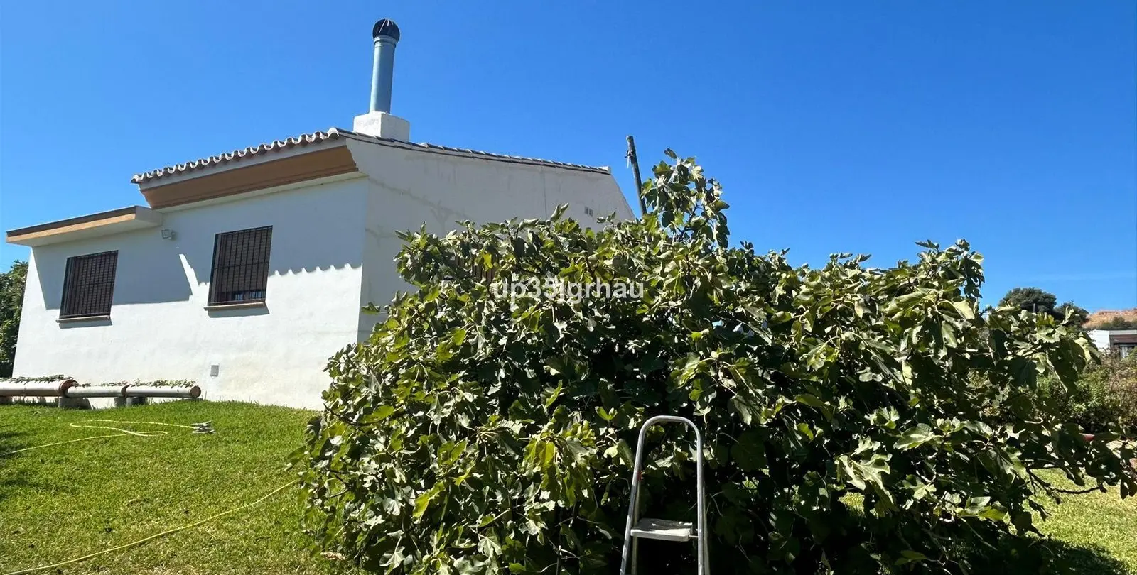 Sale of finca - cortijo in Estepona 1