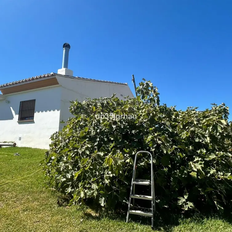 Sale of finca - cortijo in Estepona