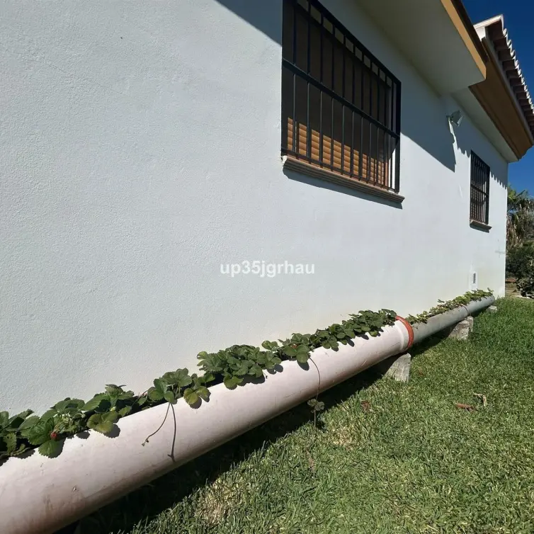 Sale of finca - cortijo in Estepona