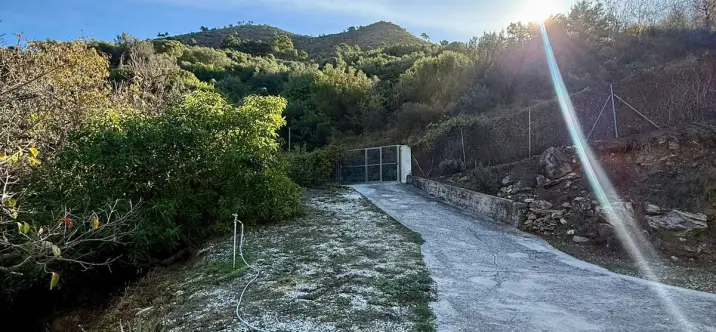 Sale of finca - cortijo in Ojén 1