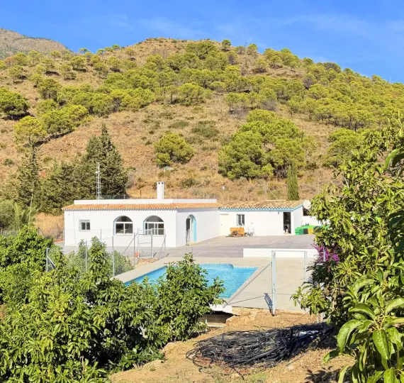 Sale of detached villa in Estepona