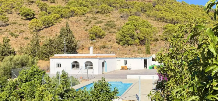 Sale of detached villa in Estepona 1