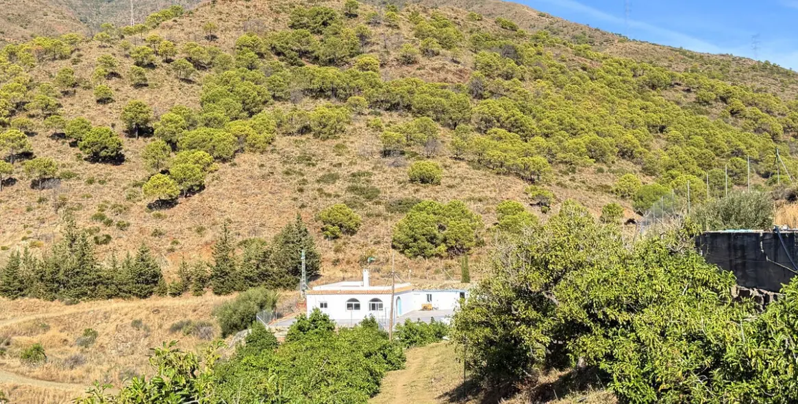 Sale of detached villa in Estepona 11