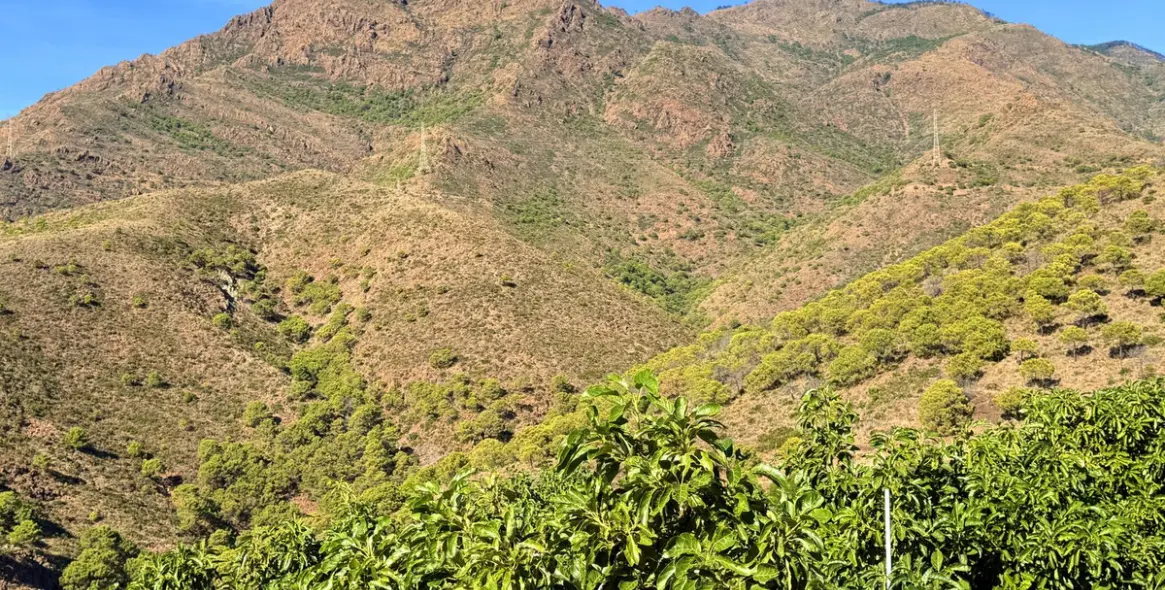 Продажа  отдельно стоящей виллы в Estepona 43