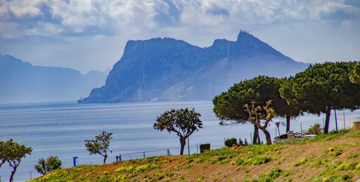 Продажа  жилого участка в Sotogrande 20