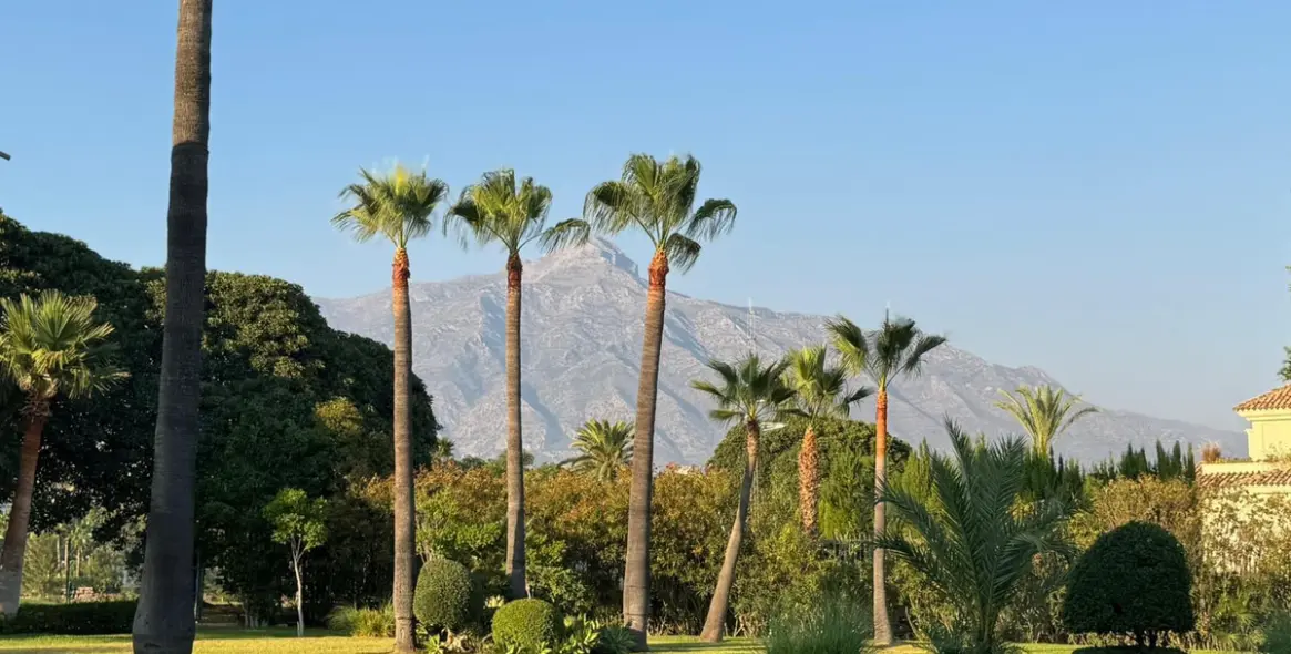 Продажа двухуровневых апартаментов в Nueva Andalucía 43