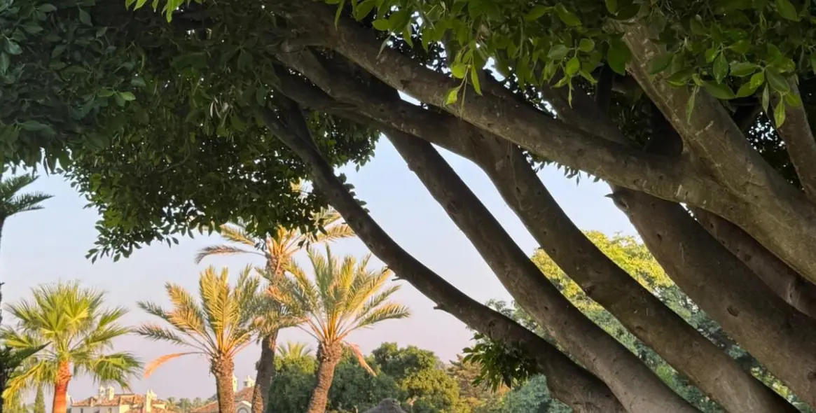 Продажа двухуровневых апартаментов в Nueva Andalucía 54