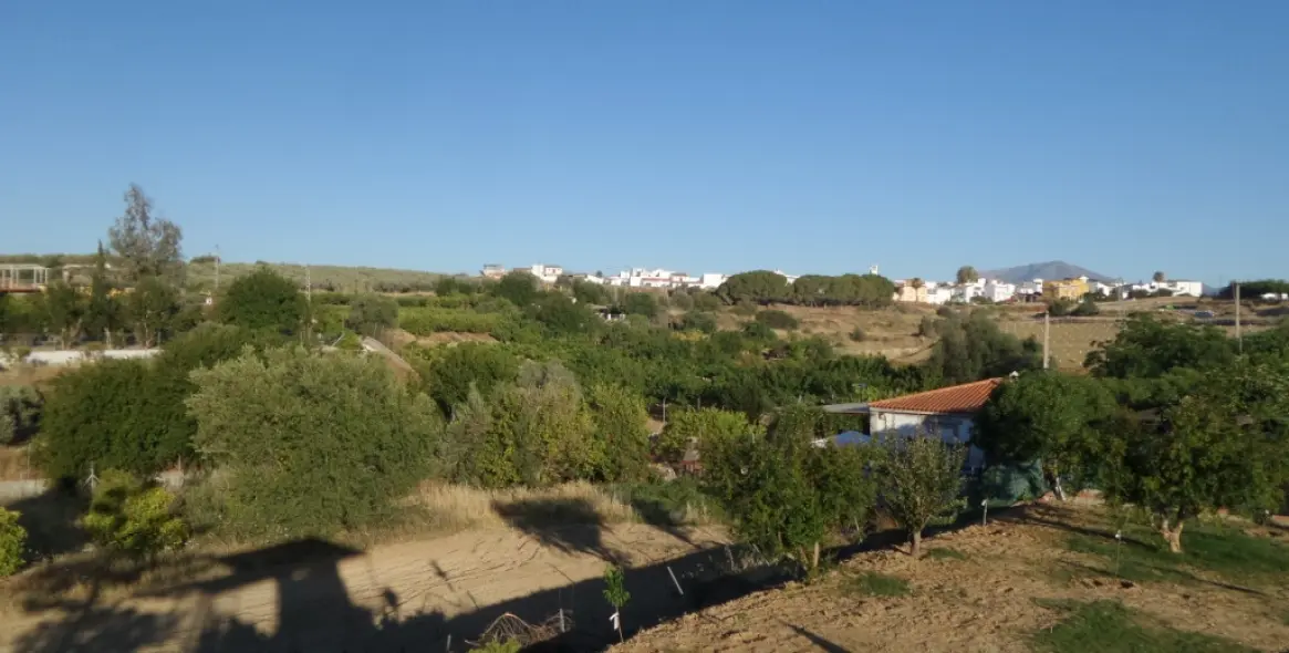 Sale of detached villa in Alhaurín el Grande 65