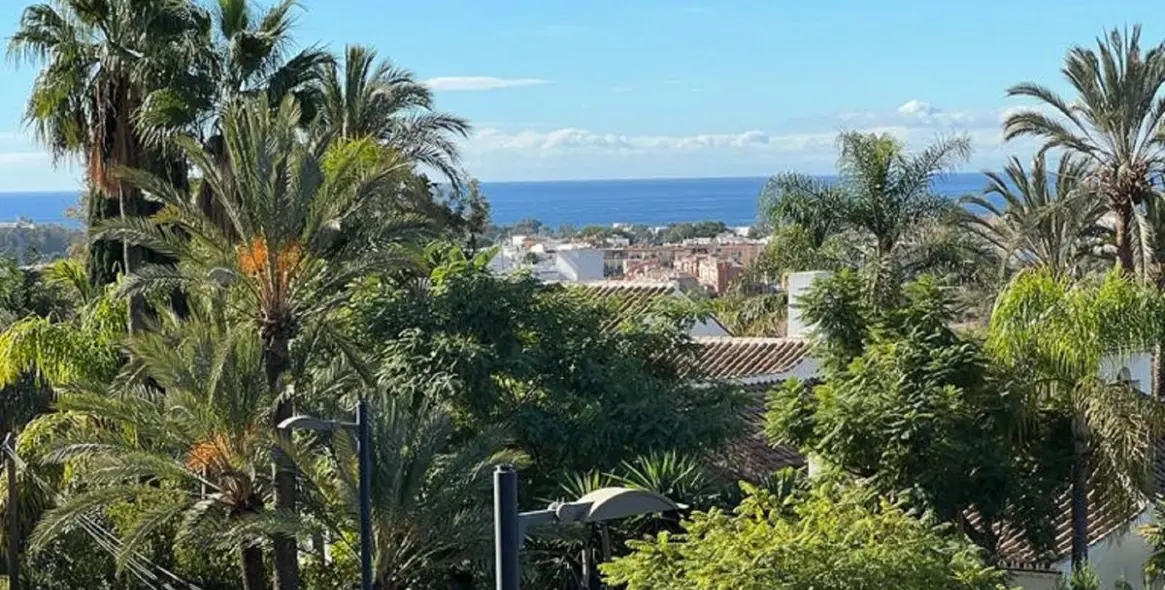 Продажа пентхауса в New Golden Mile 19