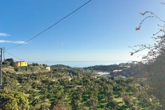 Image 8 thumb