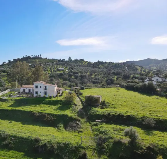 Sale of finca - cortijo in Coín