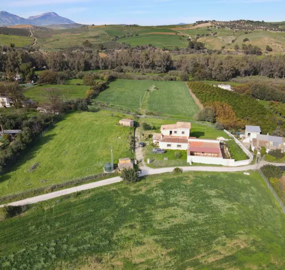 Sale of finca - cortijo in Coín