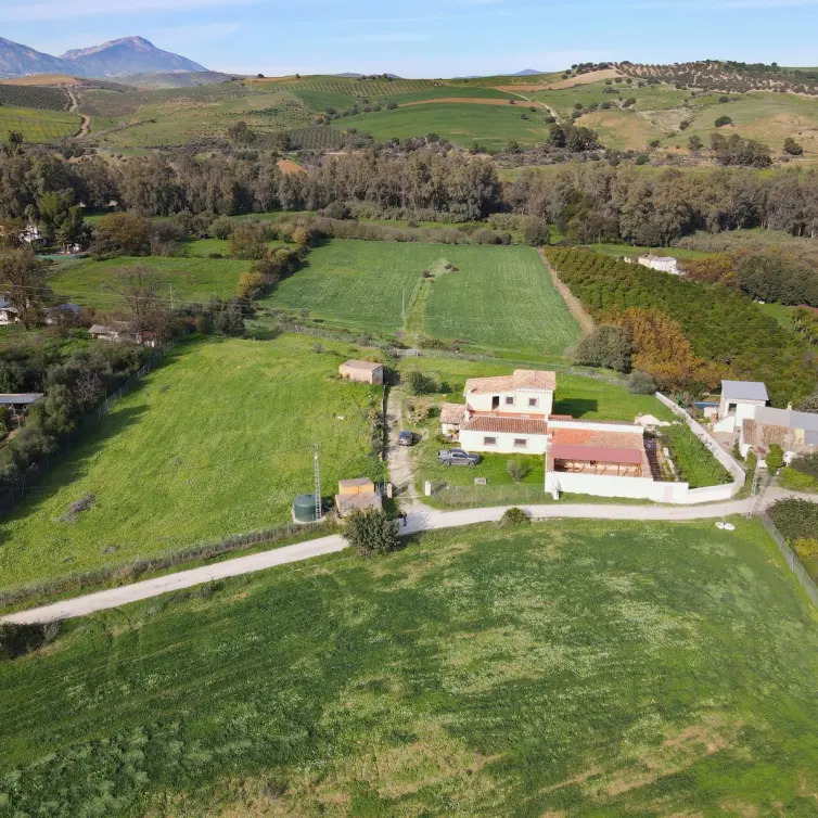 Venta de finca - cortijo en Coín