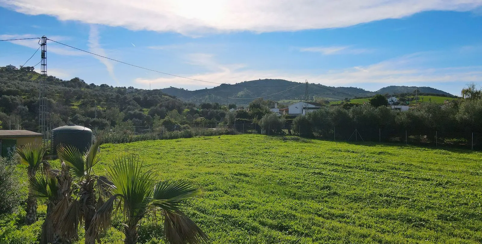 Sale of finca - cortijo in Coín 15