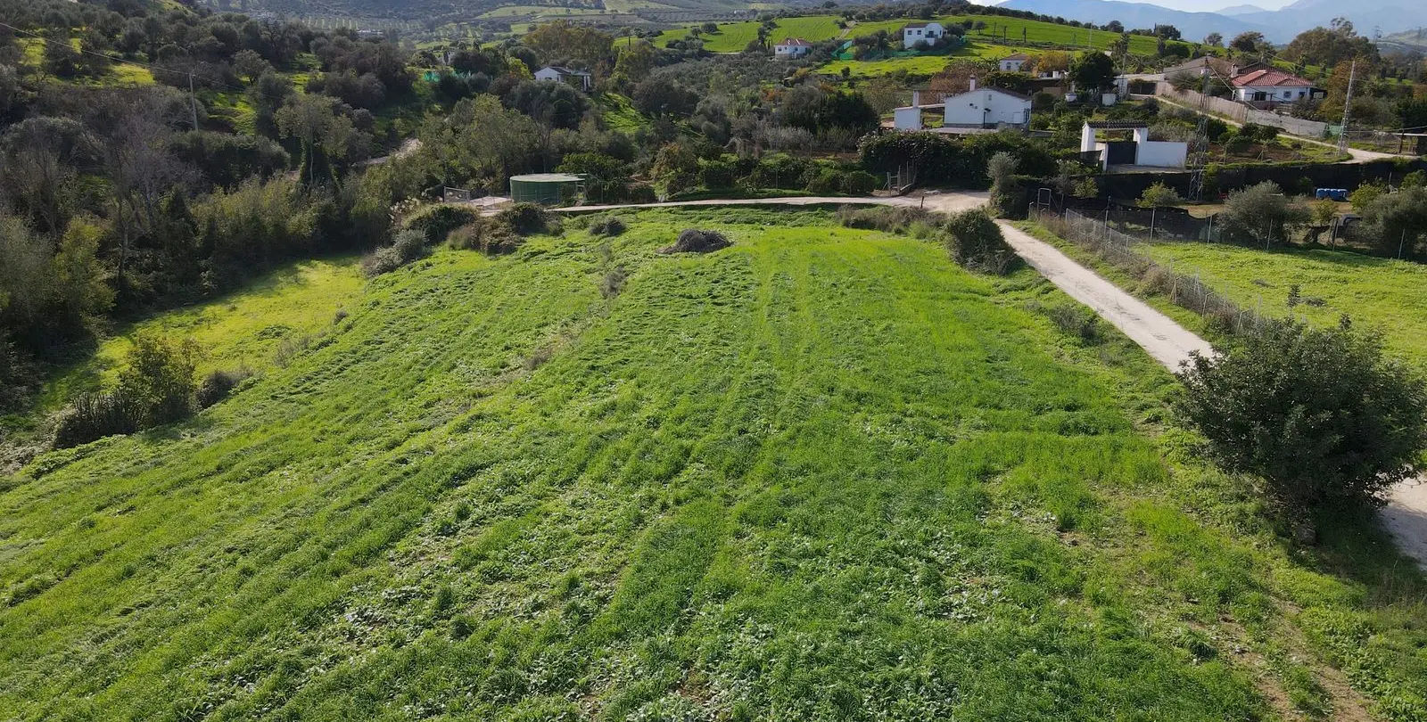 Sale of finca - cortijo in Coín 11