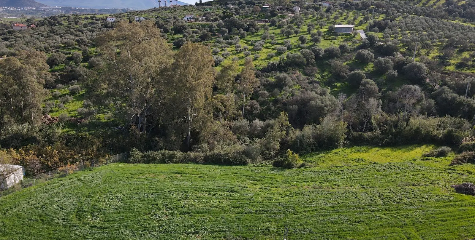 Sale of finca - cortijo in Coín 13