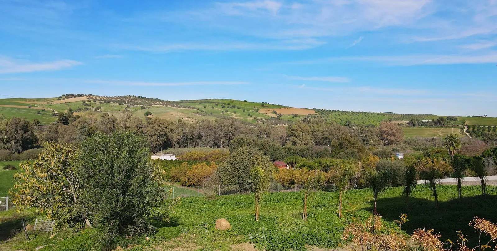 Sale of finca - cortijo in Coín 16