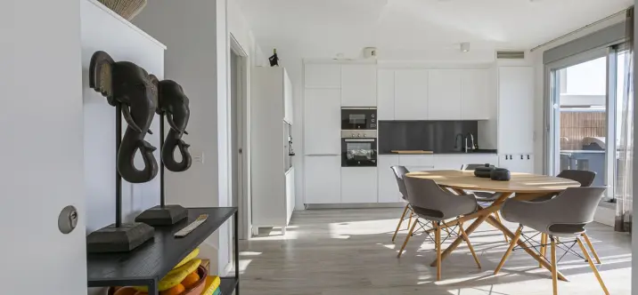 Sale of penthouse duplex in Cancelada 4