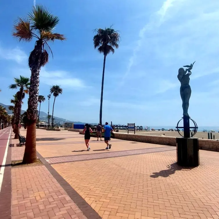 Sale of commercial premises in Los Boliches