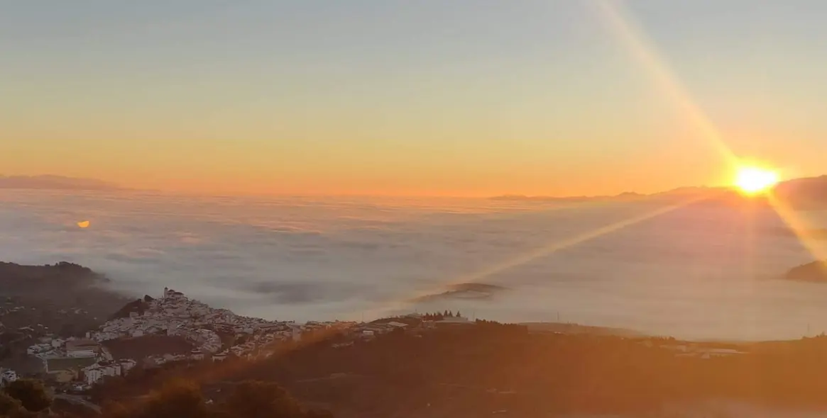 Sale of detached villa in Alozaina 4