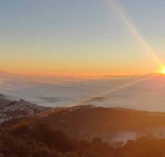 Sale of detached villa in Alozaina