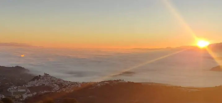 Sale of detached villa in Alozaina 3