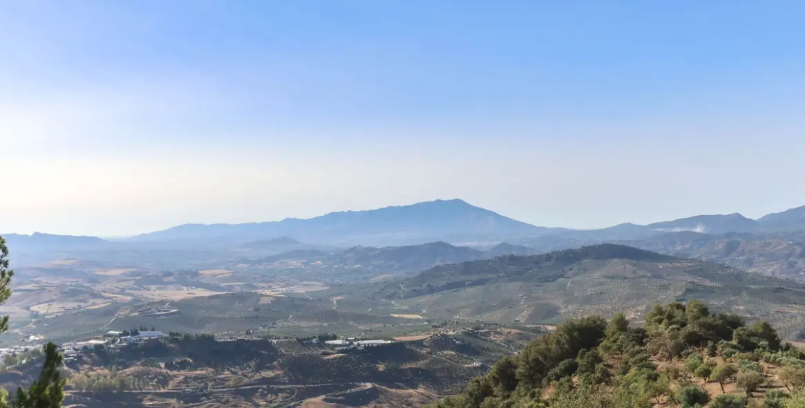 Sale of detached villa in Alozaina 82