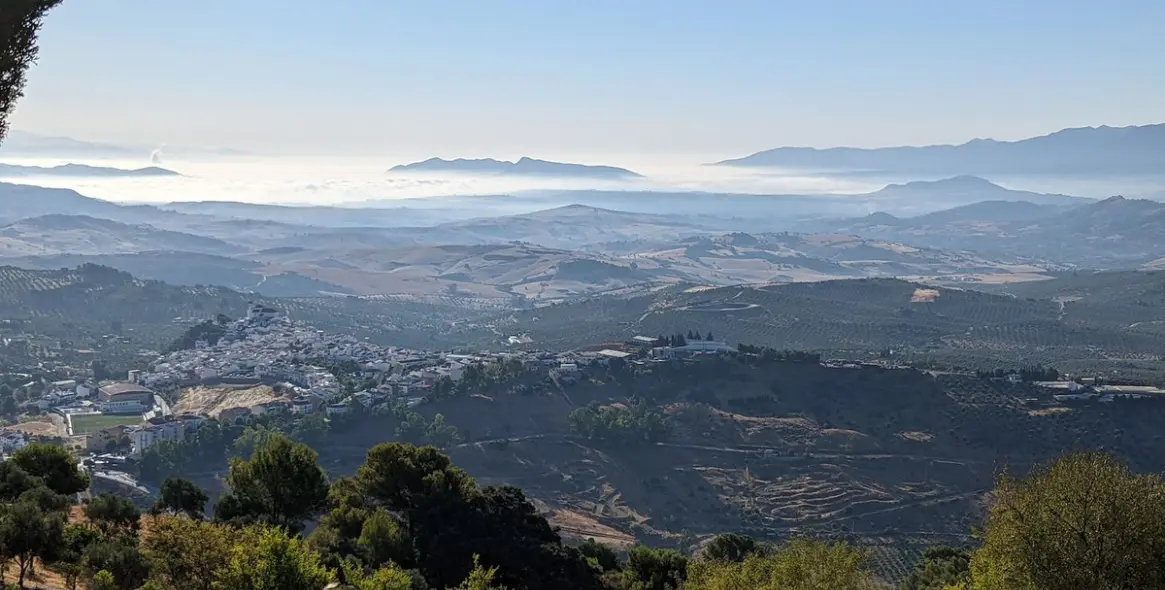 Sale of detached villa in Alozaina 88