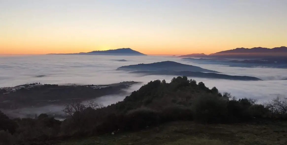 Sale of detached villa in Alozaina 90