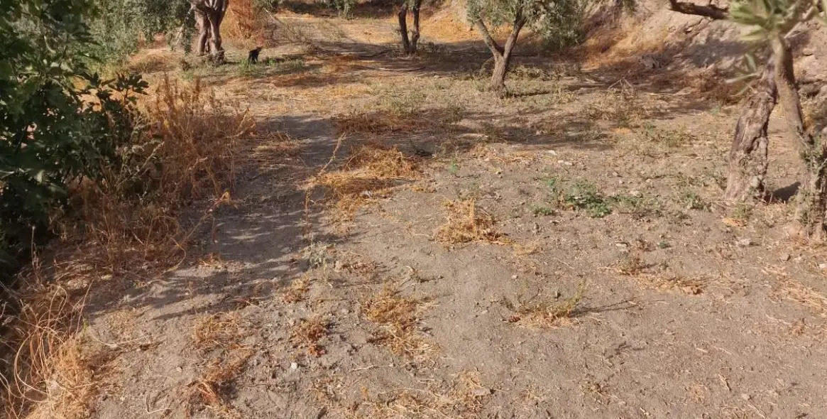 Sale of detached villa in Alora 34